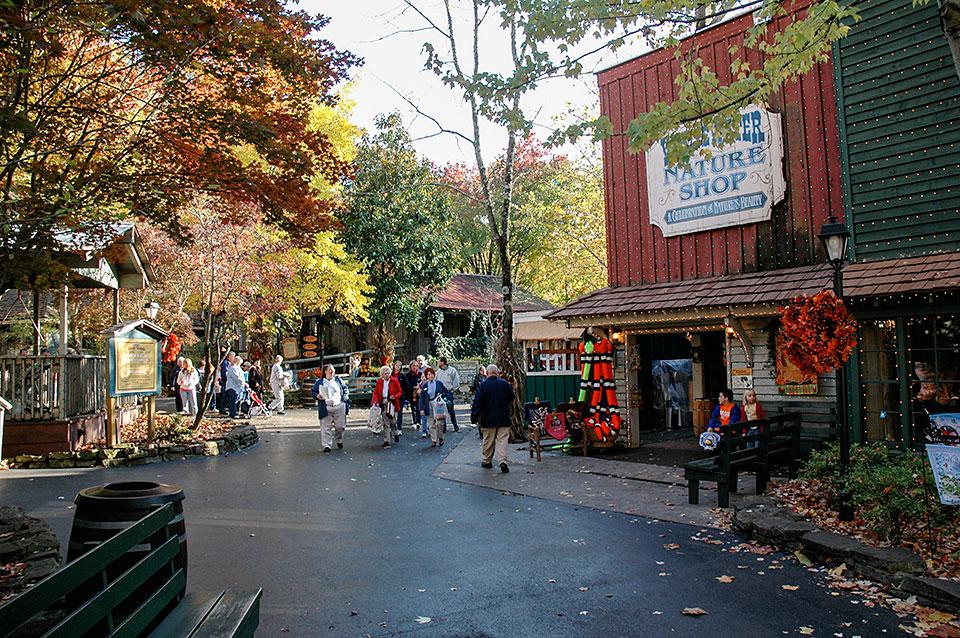 Information On Dollywood In Tennessee | David Simchi-Levi