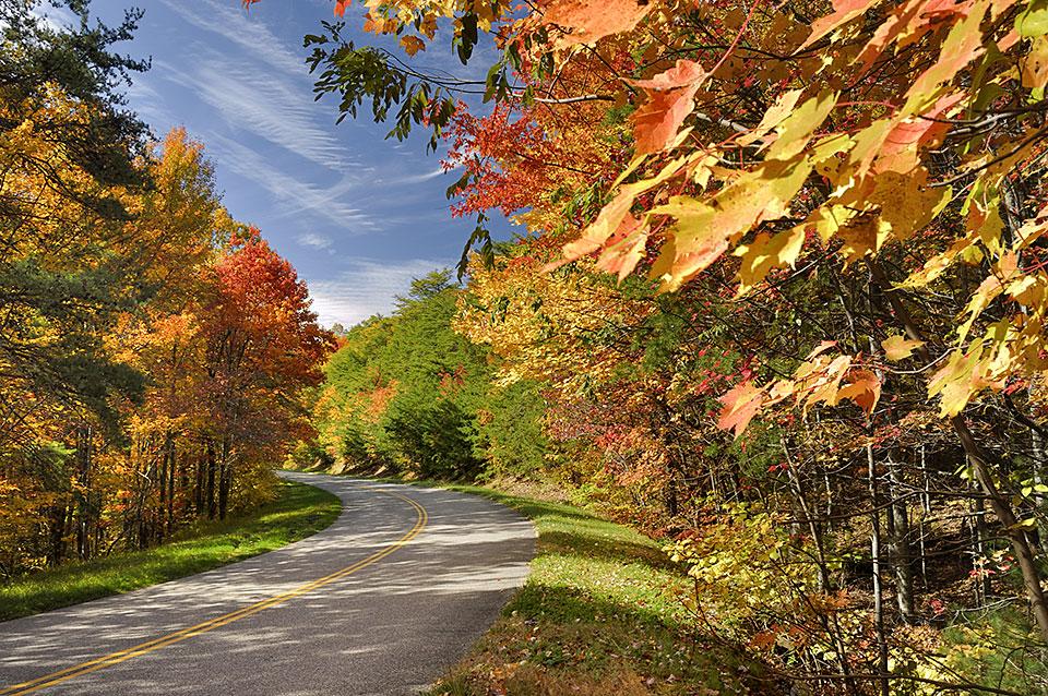 Best Drives for Fall Color Smoky Mountains 