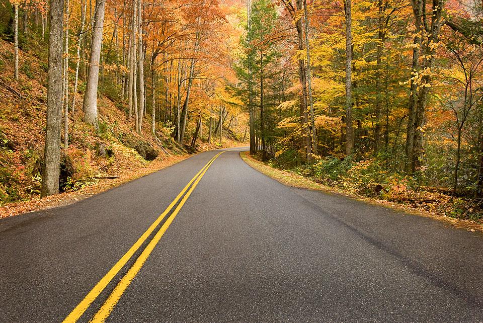 Fall Leaf Colors by Car In The Smokies