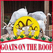 Goats On The Roof Of The Smokies